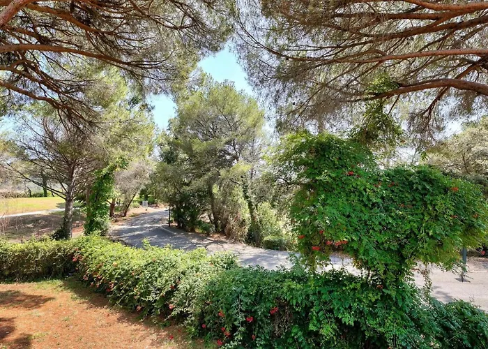 Résidence Saint-raphaël Valescure - Maeva - 2 Pièces 4 Personnes - Sélection Mae-6914 *